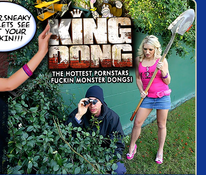 KingDong.com
